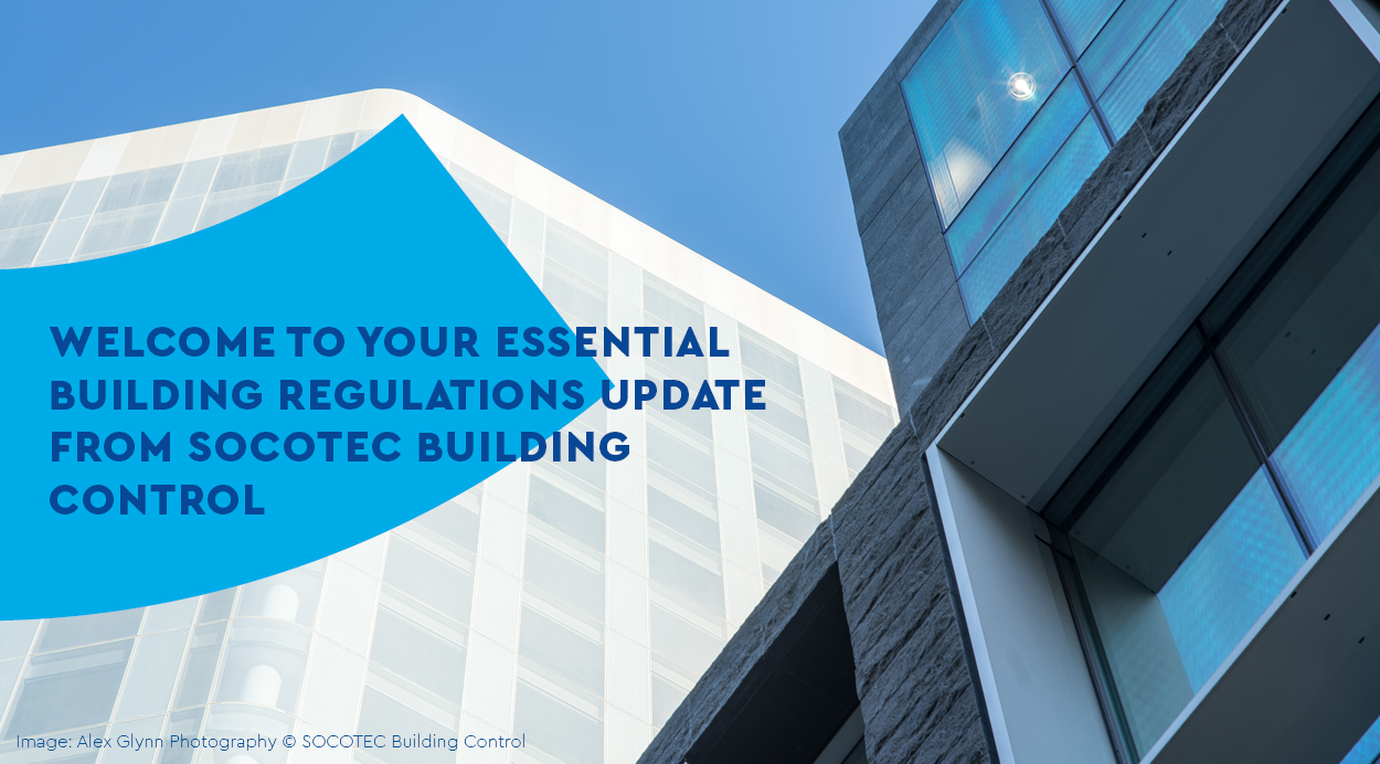 BC Newsletter Nov 25.png